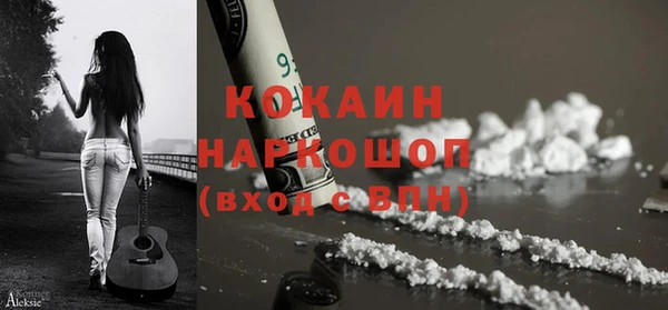 гашик Нефтекумск