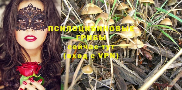 мескалин Новодвинск