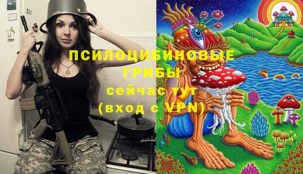 гашик Нефтекумск