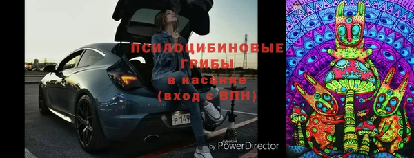 хмурый Новозыбков
