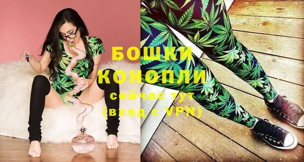 мескалин Новодвинск
