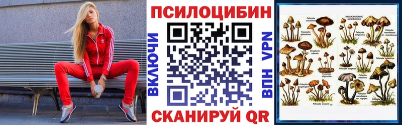 хочу наркоту  Сортавала  blacksprut зеркало  Псилоцибиновые грибы прущие грибы 