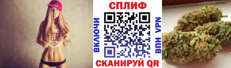 мориарти Telegram  Сортавала  Бошки Шишки Bruce Banner 